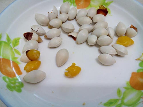 用微波爐給白果去殼步驟圖解:1分鐘白果去掉外殼法3