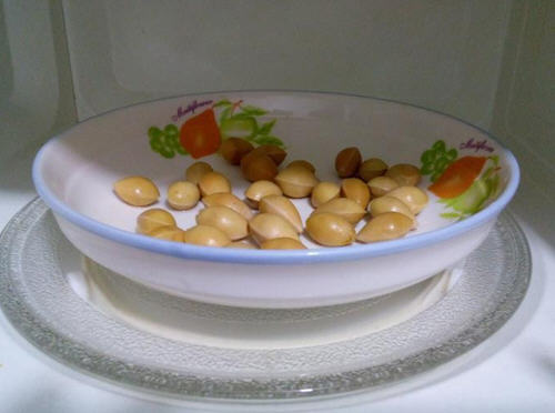 用微波爐給白果去殼步驟圖解:1分鐘白果去掉外殼法5