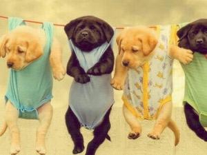 霧霾天能曬衣服嗎?霧霾天注意事項