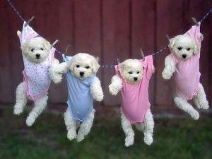 陰雨天晾衣服晾不干有霉味、臭味怎么辦?