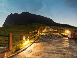 去韓國旅游買什么好?韓國旅游購物攻略