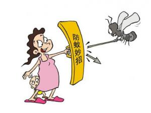 ?家居防蚊有哪些措施?夏季防蚊植物