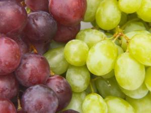 如何分辨提子和葡萄？提子與葡萄的區(qū)別