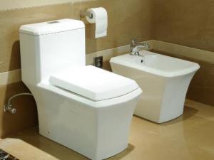 馬桶滋生細菌?馬桶蓋到底該不該蓋上