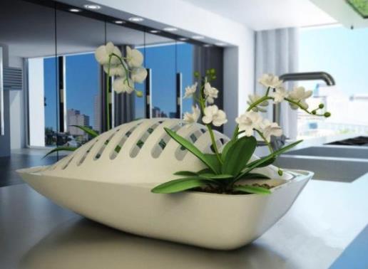 花盆里生蟲子怎么辦?自制花卉藥劑防治蟲害