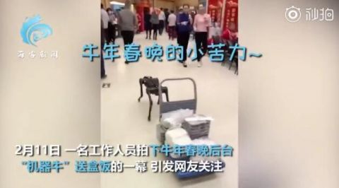 春晚后臺是怎么送盒飯的 春晚機器牛臺上酷炫表演臺下拉車送盒飯