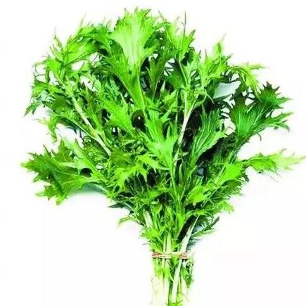 端午節(jié)掛的艾草能喝嗎?不到端午門口能放艾草嗎?