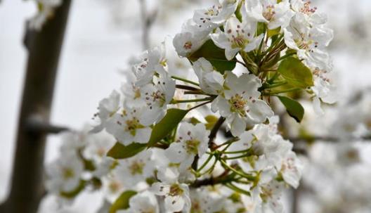 夏天是幾月到幾月 2021年全國高溫補貼是哪幾個月