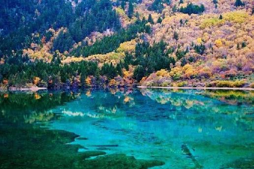 不開機行程卡會有記錄嗎?行程卡能添加別人嗎