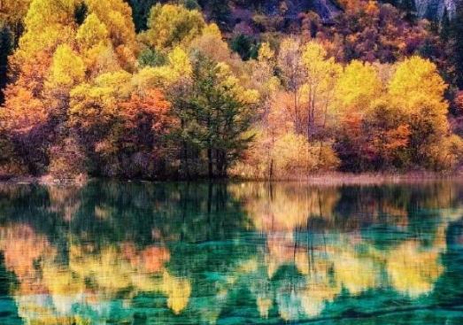 不開機行程卡會有記錄嗎?行程卡能添加別人嗎