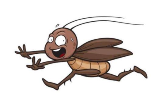 蟑螂打死會越來越多嗎 蟑螂冬天會消失嗎