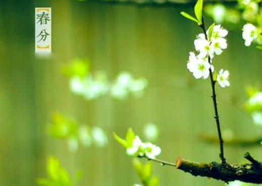 春分前后適合結婚的日子有哪些?春分前后適合搬家的日子有幾天