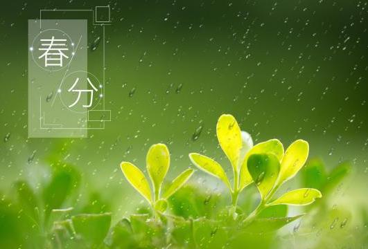 春分前后適合結婚的日子有哪些?春分前后適合搬家的日子有幾天