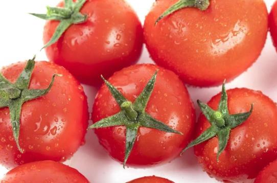 ?西紅柿發酵后可以澆花嗎?西紅柿做肥料不發酵可以用嗎