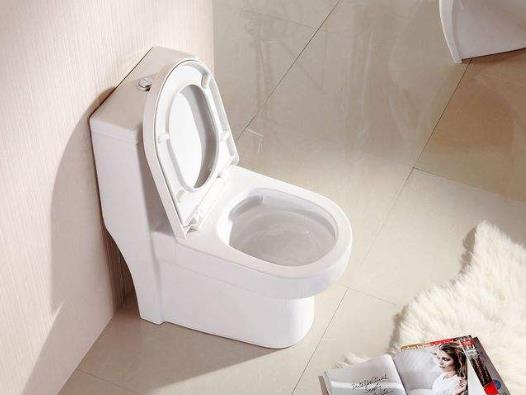 ?直沖式馬桶如何防臭?馬桶蓋長霉是什么原因