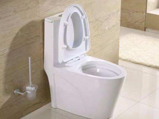 ?直沖式馬桶都不防臭嗎?馬桶蓋長黑霉怎么去除