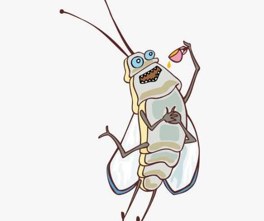 蟑螂一般躲在家里的什么地方?怎么區(qū)分雌雄蟑螂