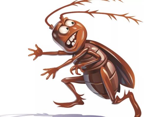 蟑螂一般躲在家里的什么地方?怎么區(qū)分雌雄蟑螂