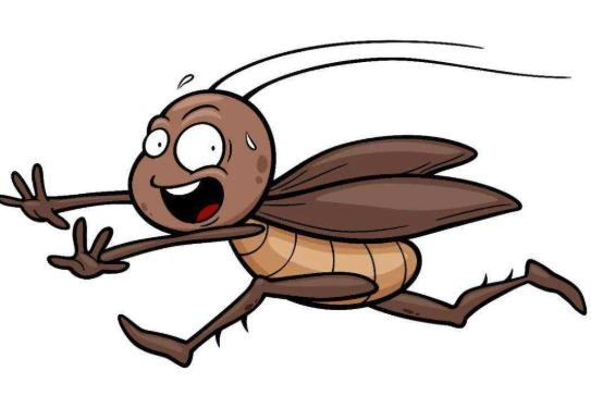 被蟑螂咬了怎么辦?為什么蟑螂有抗藥性