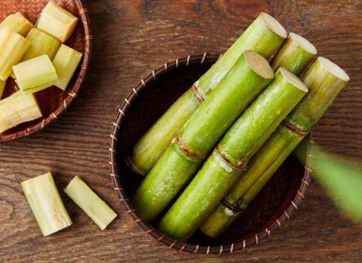 過年買的甘蔗放哪里?過年買的甘蔗要放幾天