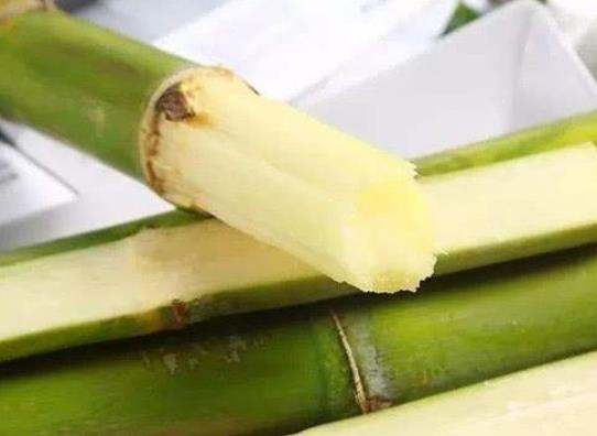 過年買的甘蔗放哪里?過年買的甘蔗要放幾天