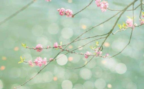 立春還會冷多久 2022年立春后還會倒春寒嗎