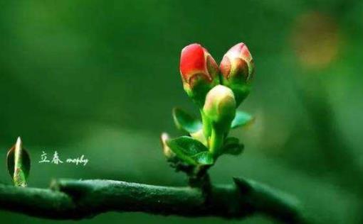 2022立春是幾久 立春后天氣就暖和了嗎