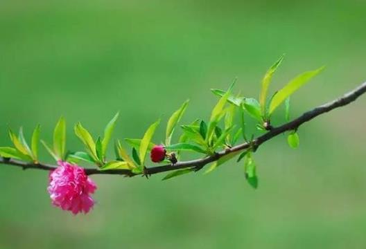 2022倒春寒在哪個節(jié)氣?2022倒春寒會下雨嗎