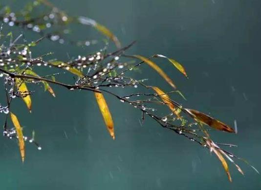 2022年倒春寒是幾九?2022年倒春寒會(huì)下雪嗎