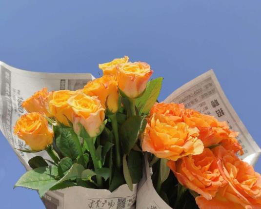 醒花要醒多少時間?醒花用溫水還是涼水