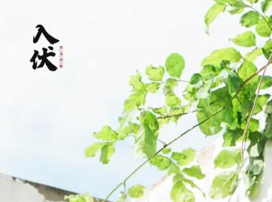 三伏天是什么時候?三伏天太熱如何有效防暑降溫