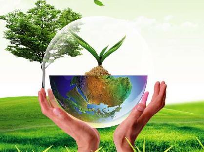 3月21日是什么日子?世界森林日的來歷和意義