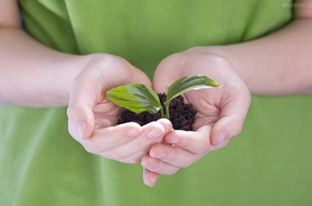 4月10日是什么節日?非洲環境保護日是幾月幾日