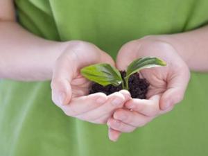 4月10日是什么節(jié)日?非洲環(huán)境保護(hù)日是幾月幾日