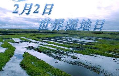 2月2日是什么節(jié)日?世界濕地日是幾月幾日