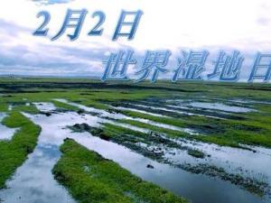 2月2日是什么節(jié)日?世界濕地日是幾月幾日