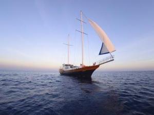 7月11日是什么節(jié)日?中國航海日是幾月幾日