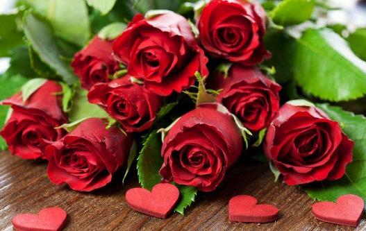 玫瑰情人節