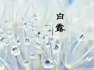 白露是什么時(shí)候?白露飲食最佳之選