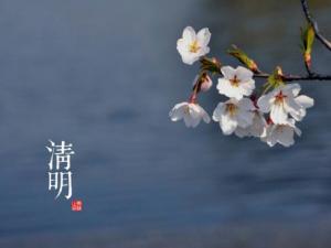 清明是什么時候?二十四節氣之清明的由來與含義