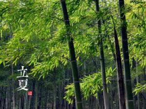 立夏是什么時(shí)候?二十四節(jié)氣之立夏的由來與含義