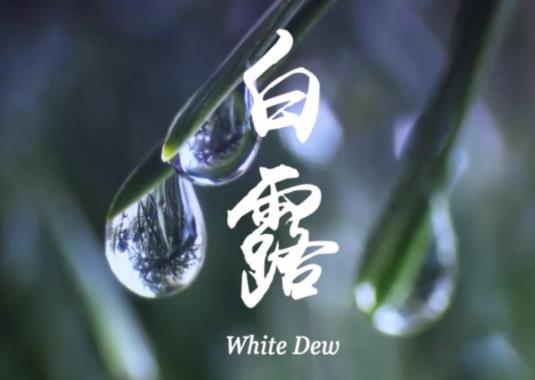 白露后還熱嗎要熱多久?2021年白露后氣溫會下降嗎?