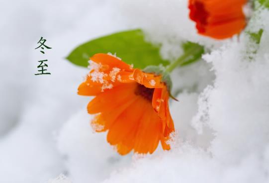 2021冬至前后要禁欲嗎?2021年冬至前后下葬什么日子好