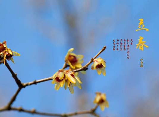 2022立春后天氣還會干燥嗎?2022年躲春如果在上班怎么辦