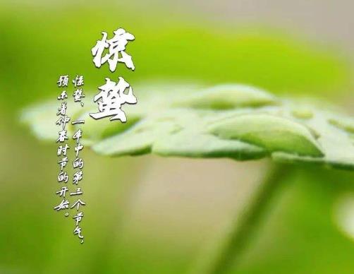 驚蟄是冷好還是熱好?驚蟄上墳要帶什么