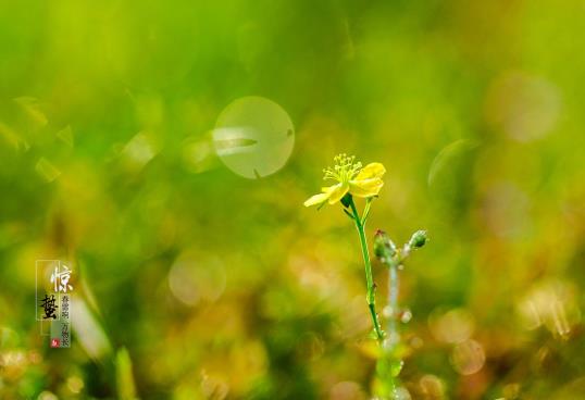 驚蟄前幾點(diǎn)上墳好?驚蟄上墳是上午去還是下午去