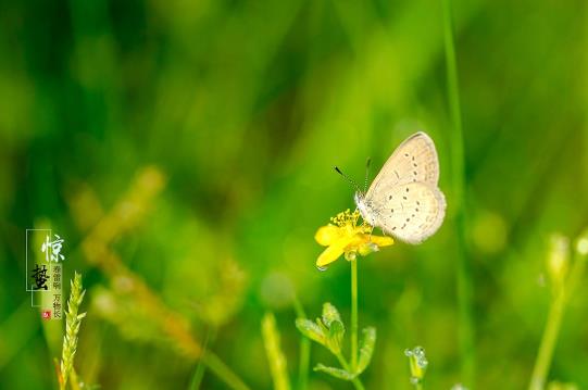 驚蟄前哪天上新墳好?驚蟄前上新墳還是驚蟄后上新墳