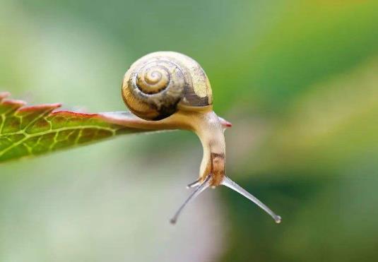 驚蟄一般溫度是多少?驚蟄上墳不能帶什么