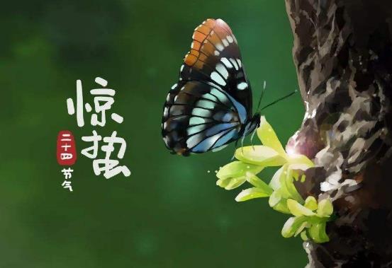 為什么驚蟄要脫帽子?驚蟄節(jié)氣要注意什么