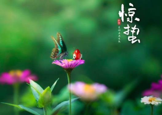 驚蟄節(jié)氣吃什么食物好?驚蟄打雷在什么時(shí)候打